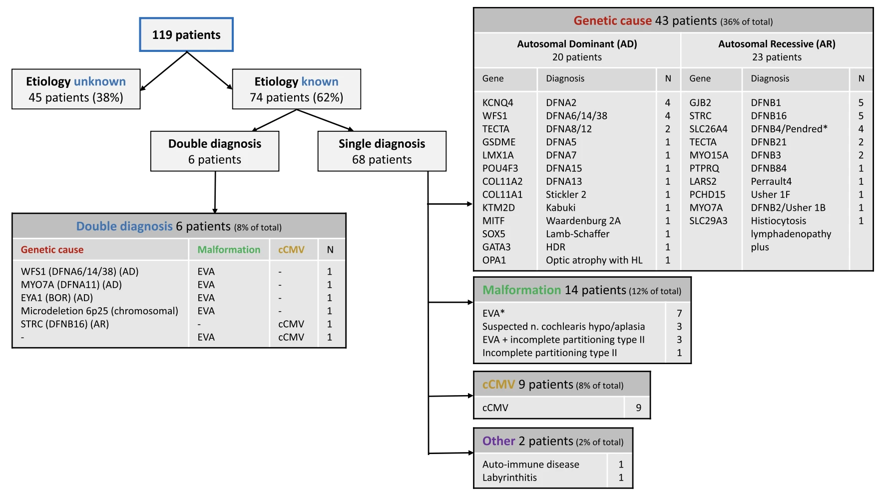 Flowchart of etiology in 119 children: etiology unknown in 45 (38%) and known in 74 (62%), split into single and double diagnoses, with tables of genetic causes (autosomal dominant and recessive), malformations, congenital CMV, and other causes