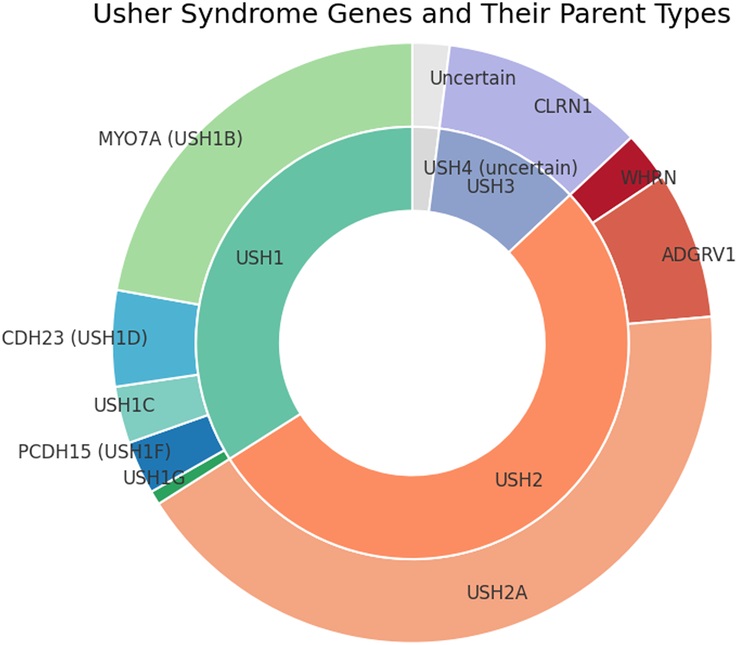 Diagram summarizing the Usher syndrome subtypes (types 1, 2, and 3) by hearing loss severity, vestibular function, and retinitis pigmentosa onset